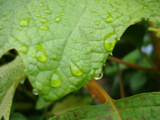 DSC00058.jpg